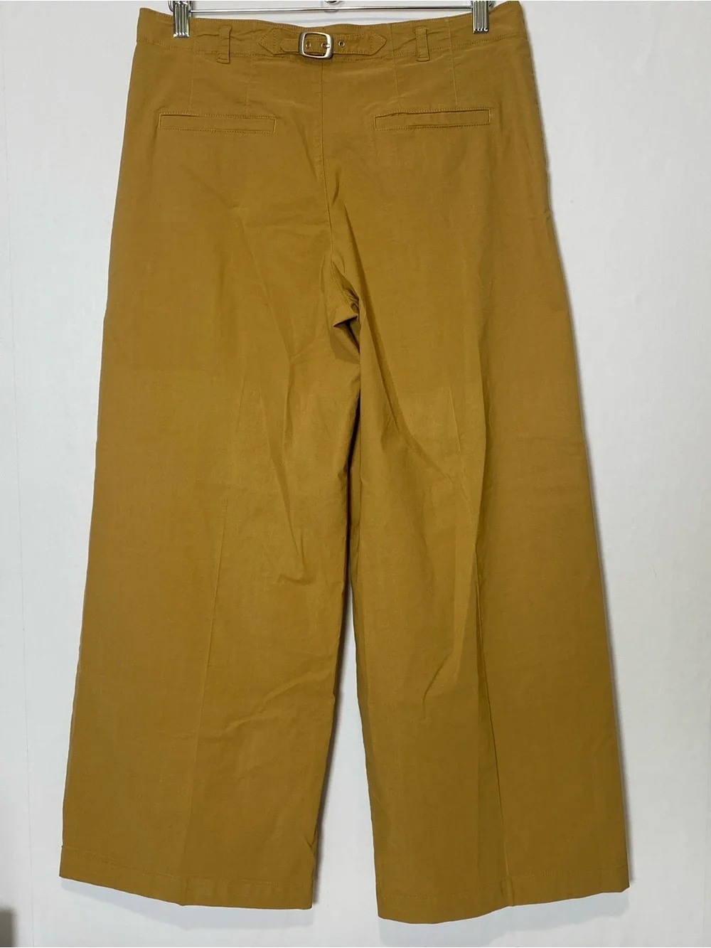 Anthropologie Women's Wide leg Cropped Pants 6 Pleated Neutral Casual